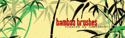 bamboo-brushes