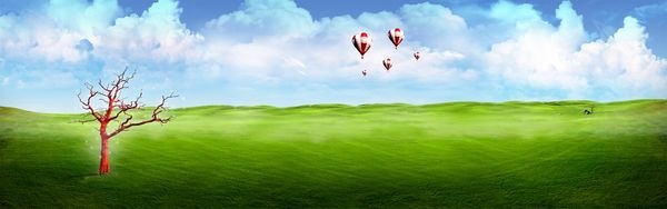 воздушные шары над полем