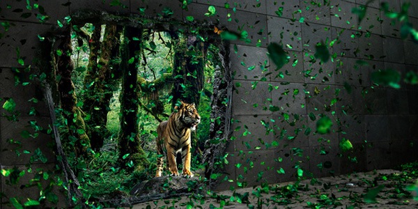 тигр из джунглей