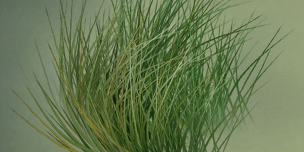 Туториал для создания травы
