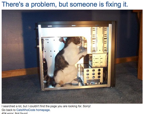 Кот в компьютере