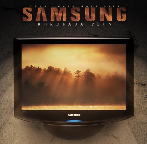 Дизайн постера Samsung Bordeaux Plus