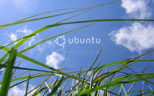 логотип ubuntu на фоне природы