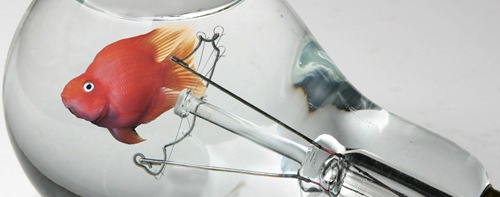 рыбка в лампочке