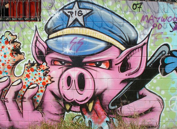 страшная злобная свинья на стене