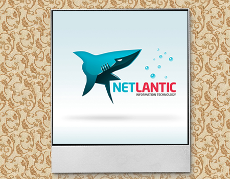 акула в логотипе