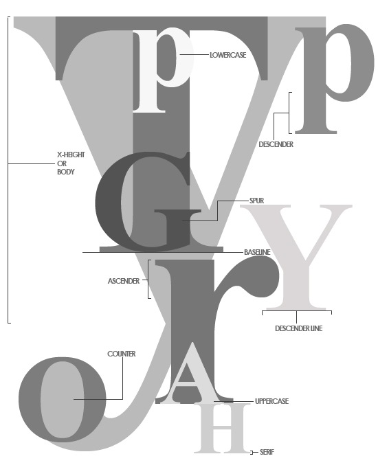 Типографический дизайн