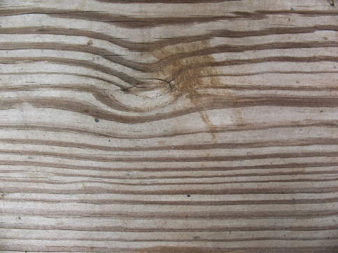 полосатая древесина