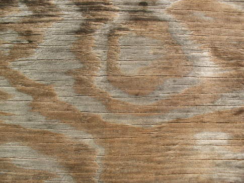 текстура древесины с разводами