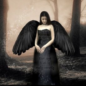 Черные крылья ангела