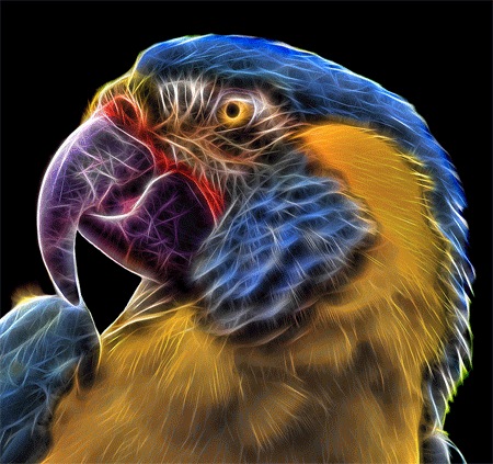 Фрактальный попугай