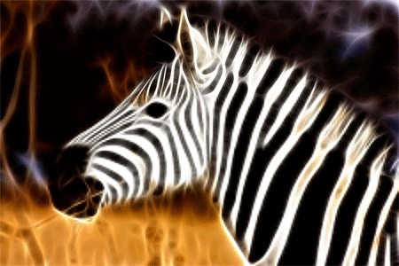 Фрактальная зебра