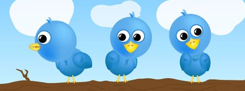 Твиттер птички