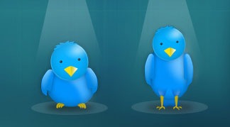 Твиттер птички 