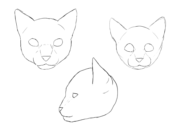 catdrawing_4-11_face_proportions_done