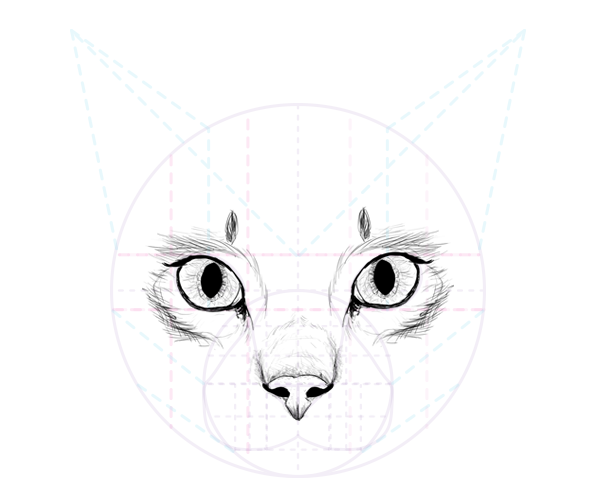 catdrawing_6-5_nose_complete