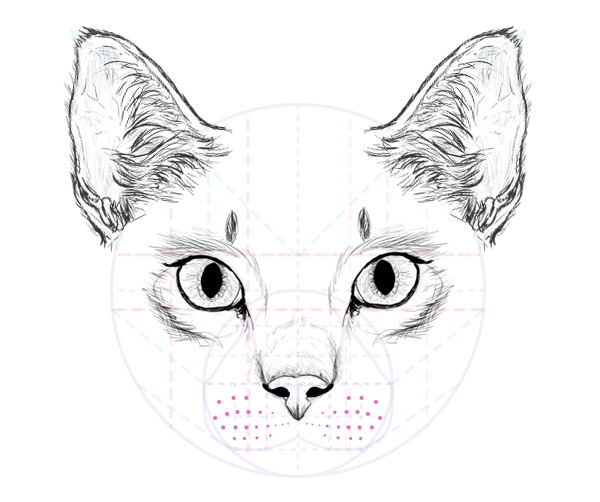 catdrawing_8-1_whiskers