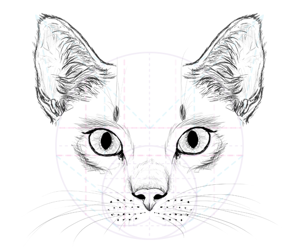 catdrawing_8-2_whiskers