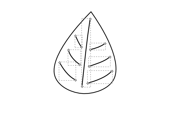 detail the leaf