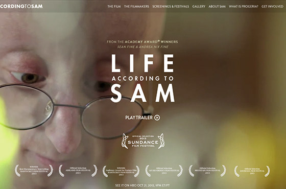 Image vs. Video Background in Web Design - Life According to Sam Movie