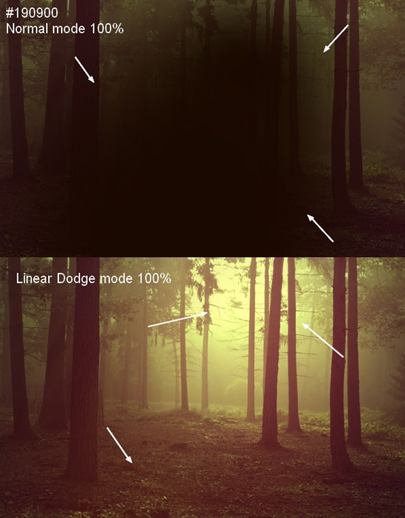 How to Add Light and How to Darken Landscape Images 12