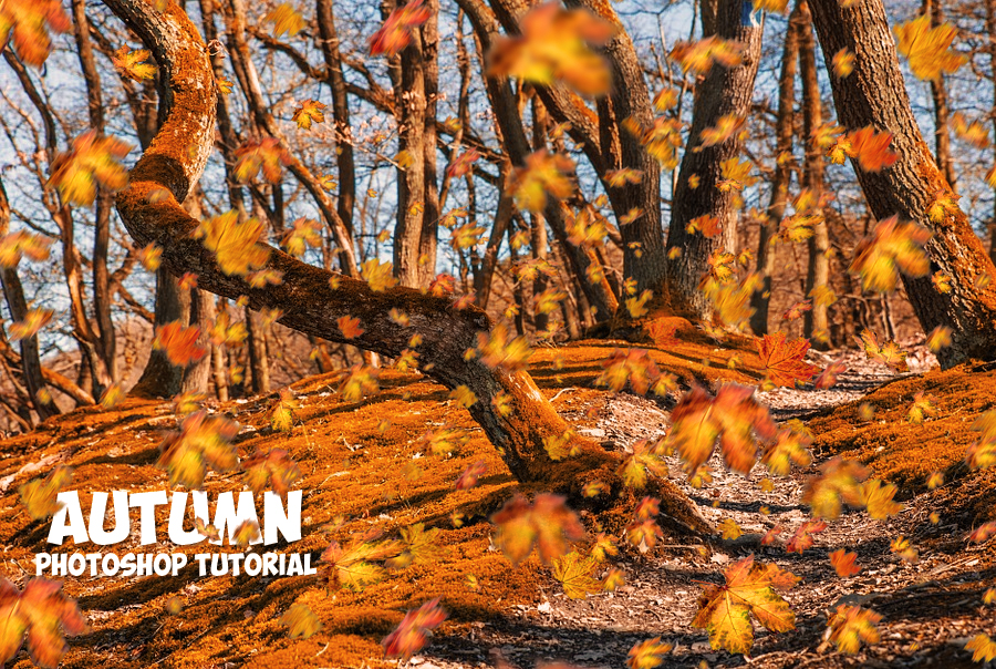 autumn season with falling leaves photoshop tutorial