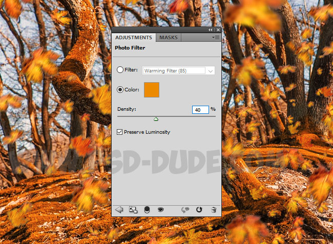 photo filter in photoshop