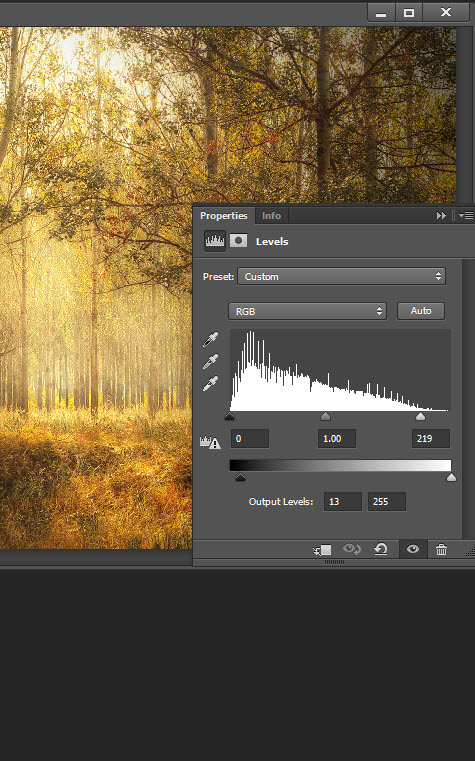 Add a warm atmosphere effect to a forest image 4