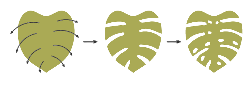 continue creating the main shape of the monstera leaf