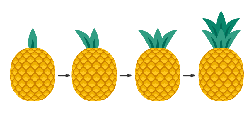 placing the leaves on the pineapple