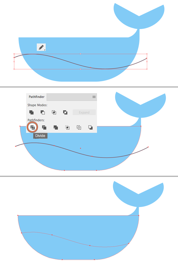 whale vector tutorial