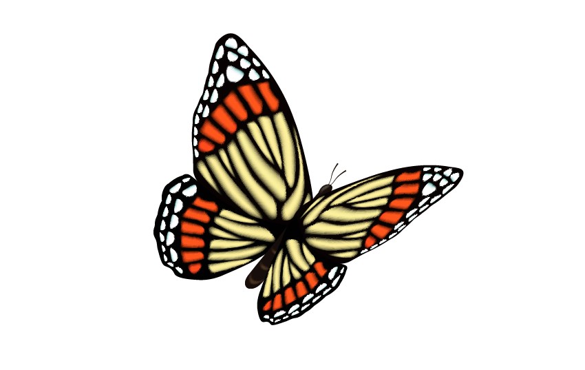 vector butterfly tutorial