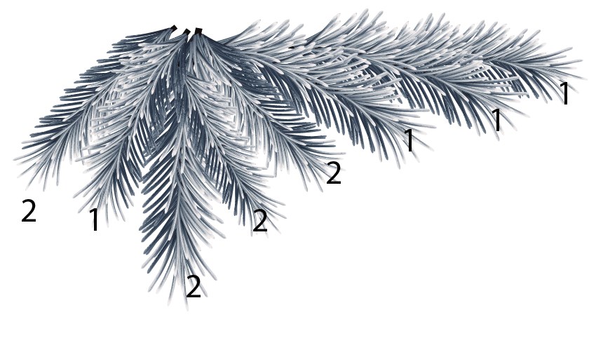 pine branches background design in Illustrator