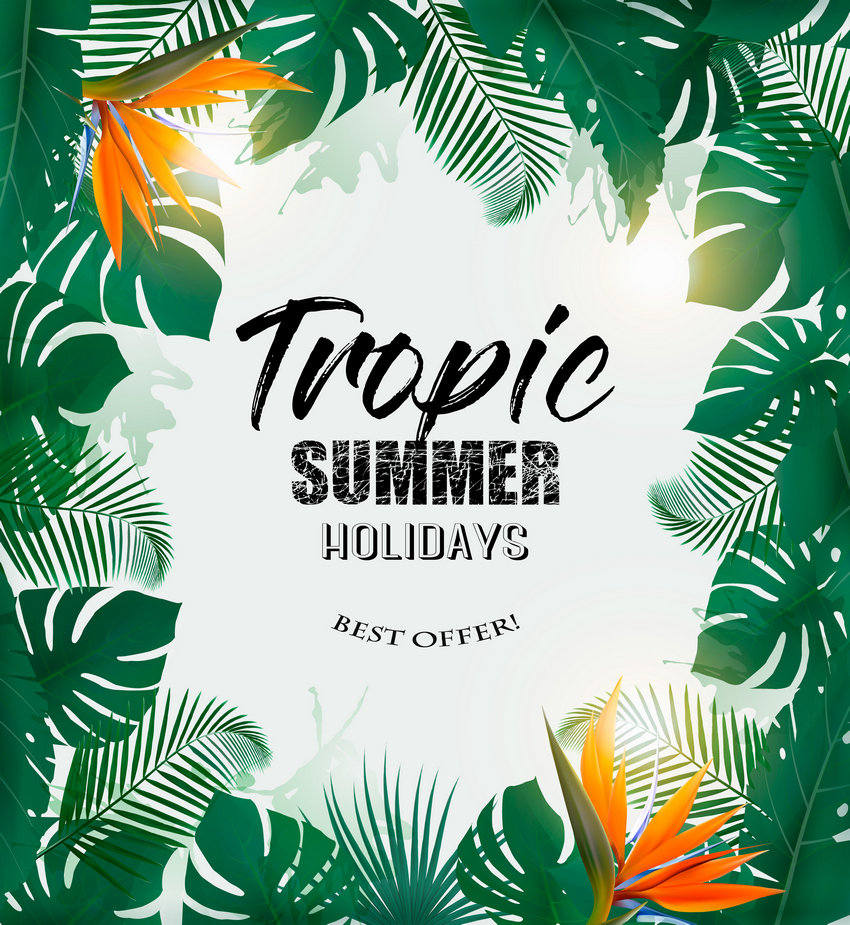  Summer Holiday Background With Tropical Plants 