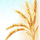 Постоянная ссылка на Рисуем пшеницу в Adobe Illustrator