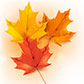 Постоянная ссылка на Осенние листья в Adobe Illustrator