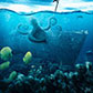 Постоянная ссылка на Подводный мир в фотошопе