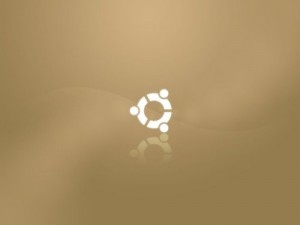 ubuntu-brown-3.jpg