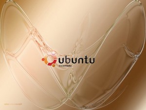 ubuntu-brown.jpg
