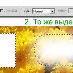 selection-tool-tutorial06