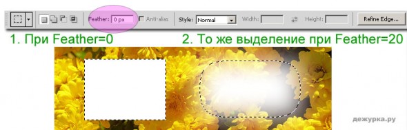 selection-tool-tutorial06