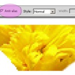 selection-tool-tutorial07