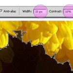 selection-tool-tutorial09