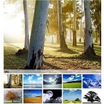 joomla-photo-gallery02