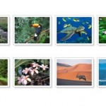 joomla-photo-gallery05