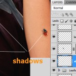9b-insects-shadow