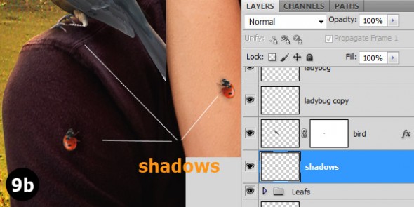 9b-insects-shadow