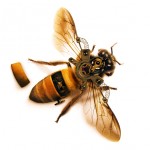 18_photoshop_tutorials_2012
