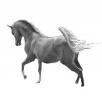 photoshop-winter-horse024