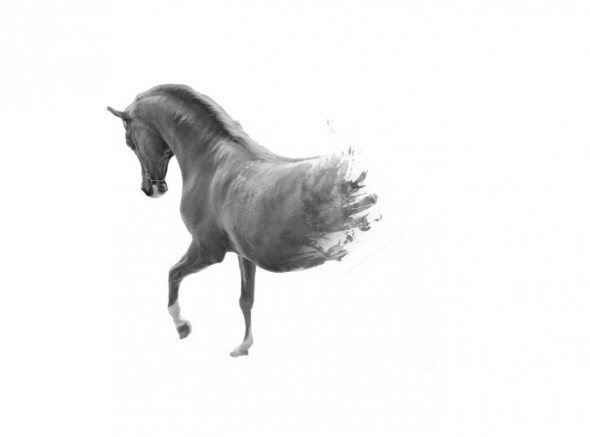 photoshop-winter-horse029